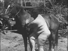 پوست توسط جوانه برنزه پاره شد و با اسپرم رنگ آمیزی شد سایت دانلود عکس سکس