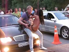 روباه حیله گر سایت های عکس های سکسی یک اسم حیوان دست اموز ناز جلب می کند
