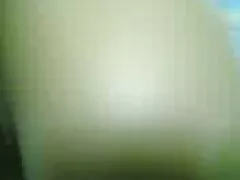 پدر دختر را به خاطر چسبیدن عکس سایت سکسی به گربه اش مجازات می کند