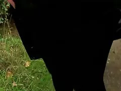 پیرمردی سنجاب عکس سکسی سایت شهوانی جوان را با دیک پر کرد